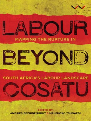 cover image of Labour Beyond Cosatu
